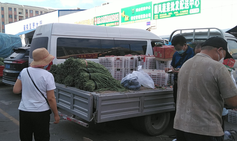 图为：北园春蔬菜市场菜农批发蔬菜_副本.jpg